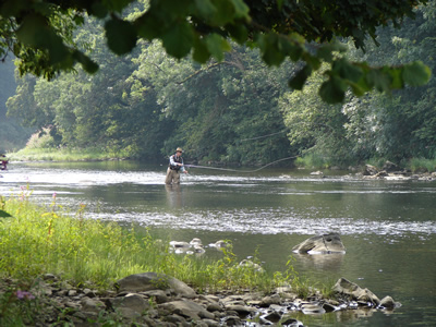 Nyth, River Wye, Peter